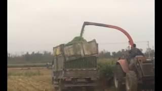 high quality Tractor mounted silage harvest header