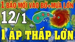 Tin bão Mới Nhất | Dự báo thời tiết hôm nay ngày mai 12/1/2025 | dự báo thời tiết 3 ngày tới