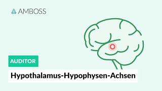 Hypothalamus-Hypophysen-Achsen - Zentrale Regulation des endokrinen Systems - AMBOSS Auditor