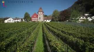 Das Fürstentum Liechtenstein - Kurzfassung