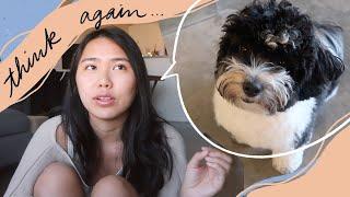 GETTING A DOG IN YOUR 20's | what they don't tell you