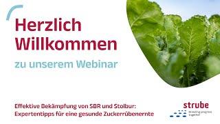 Webinar: SBR und Stolbur - Packen wir es an!