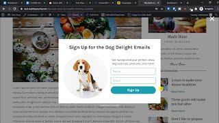 How to add email subscription opt-in form to wordpress using mailchimp free