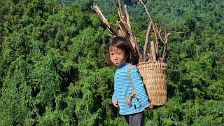 The Little Daughter Finds Food to Survive When Mother is Sick - Single Mother Sick - Sung Luyen