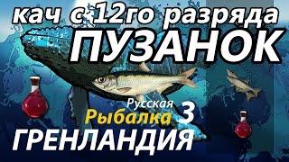 Кач с 12го разряда Пузанок / РР3 [Русская Рыбалка 3 Гренландия]