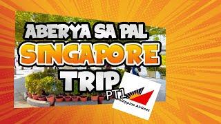 Manila to Singapore Travel 2023 PT 1 - Immigration, Airport, Transit Cards and Cancelled Flight