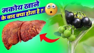 MAKOY खाकर जो हुआ जानकर पैरों तले जमीन खिसक जाएगी || MAKOI PAUDHA || SOLANUM NIGRUM || MAKOY KE LABH