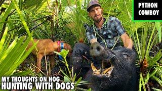 The Truth About Using Trained Hunting Dogs To Catch Invasive Wild Hogs!