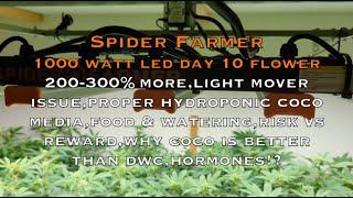 How to Grow Pounds of Cannabis Indoors with a 1000 Watt LED | Complete Tutorial | Day 14