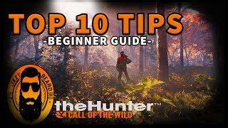 TOP 10 BEST TIPS & TRICKS FOR BEGINNERS in THE HUNTER Call of the Wild!