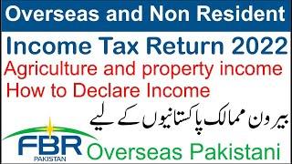 File Tax Return 2022 for Non-Resident Pakistani | how to Tax Return for Overseas Pakistanis 2022