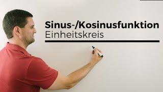 Sinus-/Kosinusfunktion verdeutlicht mit Einheitskreis, Kreisfunktionen | Mathe by Daniel Jung