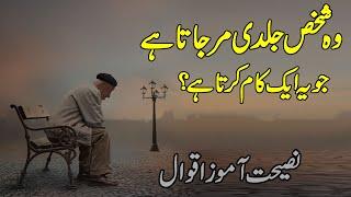 Vo Insan Jaldi Mar Jata He Jo Ye kaam krta he | Nasihat Amoz Aqwal | Nice Collection of quotes