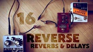 16 Reverse Reverbs & Delays (into a Death By Audio Fuzz War) in 6 minutes - High-Speed Shootout