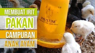 Lebih Hemat ! Membuat Pakan Campuran DOC Anak Ayam Kampung Ampas Tahu Skala Rumahan