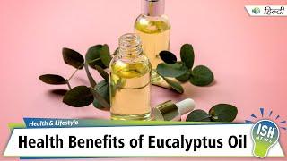 Health Benefits of Eucalyptus Oil