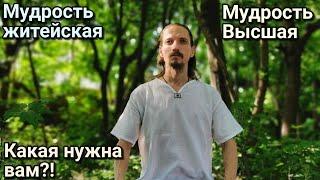 Мудрость житейская. Мудрость Высшая. Что нам несет? Как её понимать?!