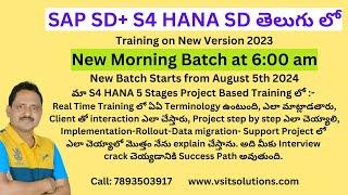 SAP S4 HANA SD Training on 2023 Version  | Best SAP SD Training | SAP SD in Telugu | Veera BS