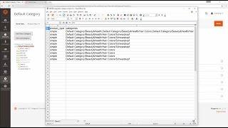 Import Categories to Magento 2, by eMagicOne