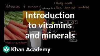 Introduction to vitamins and minerals | Biology foundations | High school biology | Khan Academy