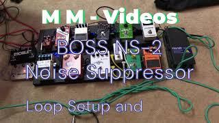 BOSS NS 2 Noise Suppressor - Inline Setup