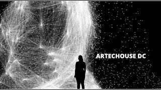 Artechouse | Washington DC