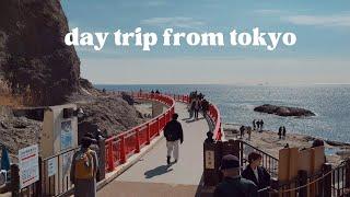 enoshima & kamakura vlog | tokyo day trip, one hour from tokyo