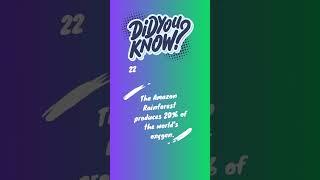 Lungs of the Earth: Amazon Rainforest's Oxygen Production #didyouknow