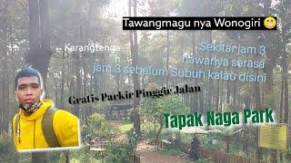 Tapak Naga Park! Hutan Pinus Karangtengah