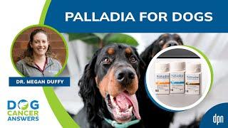 Palladia for Dogs | Dr. Megan Duffy