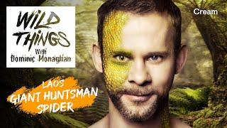 Giant Huntsman Spider | Wild Things with Dominic Monaghan (Season 1 Episode 5) | FULL EPISODE