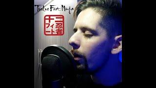 Twelve Foot Ninja - Kingdom [Acoustic cover]