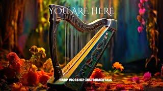 YOU ARE HERE / PROPHETIC HARP WARFARE INSTRUMENTAL/ DAVID HARP/432Hz BODY HEALING INSTRUMENTAL