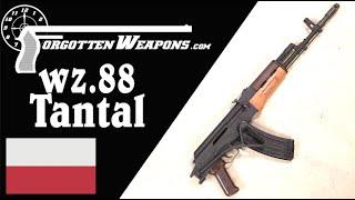 wz.88 Tantal: Poland's Alternative to the AK-74