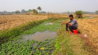 Fishing Video || Amazing hook fishing with beautiful nature || Fish catching trap  || canal Fishing