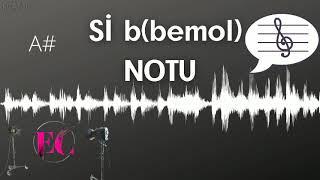 Sİ b BEMOL NOTU. PİANO NOTU Sİ BEMOL (A#)