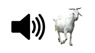 Goat - Sound Effect | ProSounds