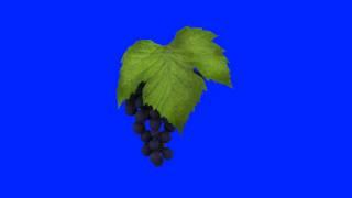 grape in blue screen