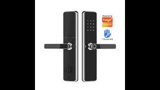 304 Stainless Steel WiFI Smart Lock with TTLock Tuya App Z818