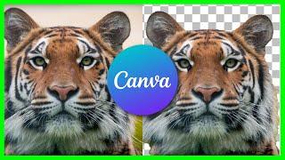 How to Remove the Background in Canva | Canva Tutorial | 2024