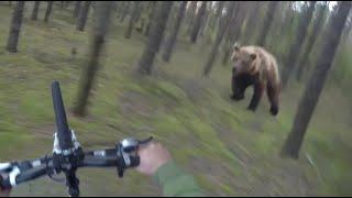 熊の攻撃、男は熊の攻撃から逃げようとしています：GoPro