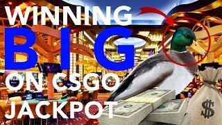 INSANE 5% JACKPOT WIN (CSGOFAST)