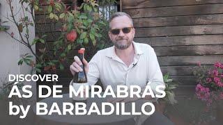 Discover Spanish white wine Ás de Mirabrás