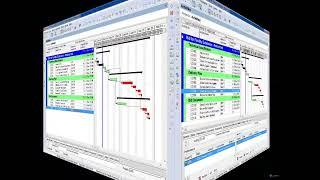 P6 PPM - LESSON 5 (Other Methods Of Organizing Project Data) -  5. Activity Codes and UDF