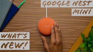 WHAT'S NEW with the GOOGLE NEST MINI (2nd Gen) in 2020 | 6 MONTHS LATER!