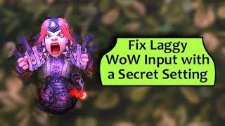 Fix Laggy WoW Input With a Secret Hidden Setting
