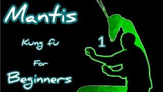 MANTIS KUNG FU FOR BEGINNERS / STEP BY STEP TUTORIAL  / 螳螂拳第一课