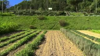 Di Paese in Paese - CASOLA VALSENIO TRA STORIA E NATURA