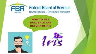 HOW TO FILE NULL SALE TAX RETURN IN IRIS