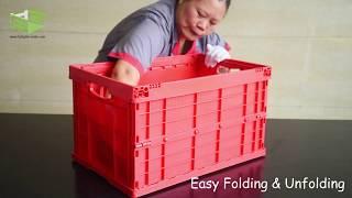 SHG Foldable Crate - C Series: Easy Folding & Unfolding